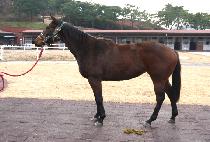 �ö��̿��� (FLY YEOWANG) ����