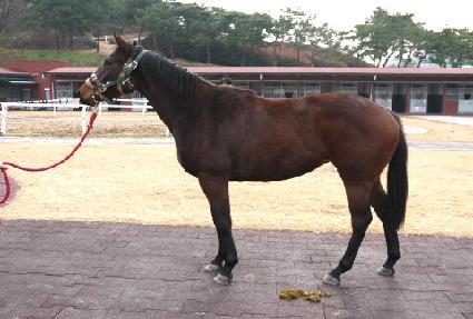 �ö��̿��� ����