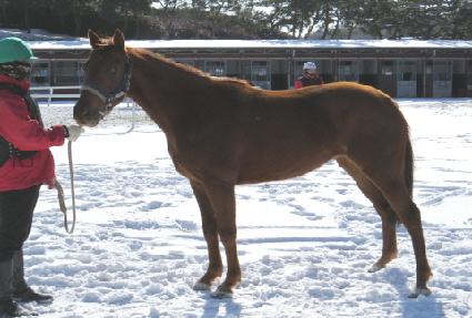 �ö���è�� ����