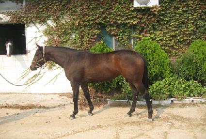 �����Ƕ� ����