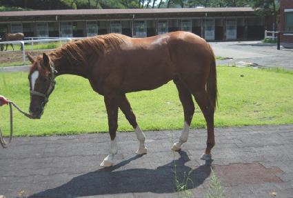 Ǯ������ ����