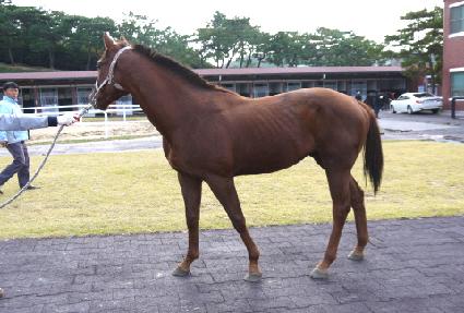 �ֵ������� ����