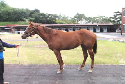 õ�⵿�� ����