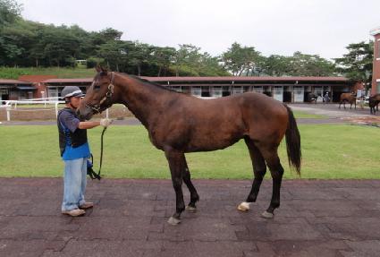 ������Ʈ ����