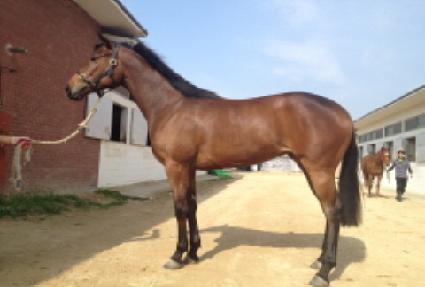 �����ǹ� ����