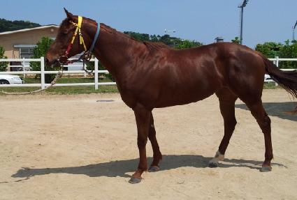 ��������� ����