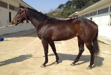 ���������� ����