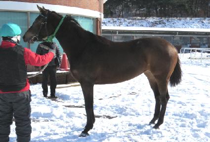 Ư���ҳ� ����