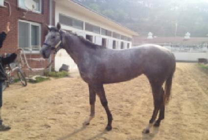 ����Ʈ��ε� ����