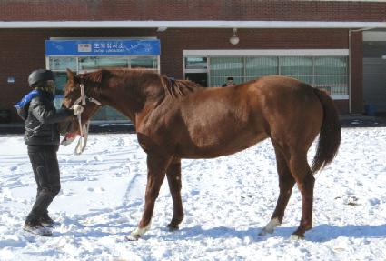 �����Ӵ� ����