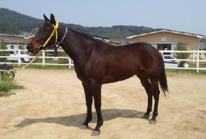 ���Ǻ����� ����