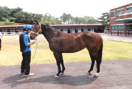 Ȳ������ ����