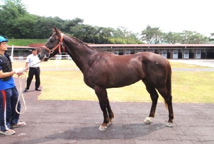 ��ġ�� ����