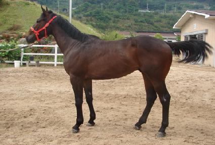 �Ŵ����� ����