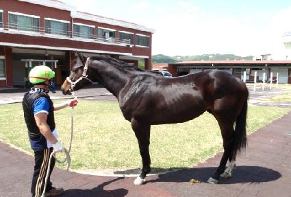 �λ꼺ŷ ����