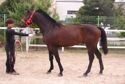 ������ ����