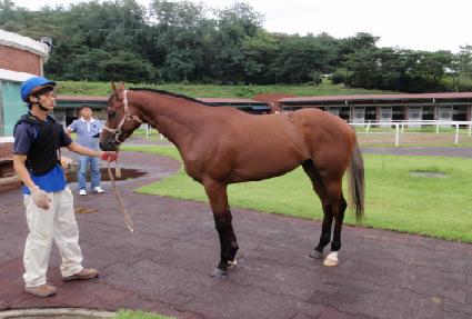 ������ ����