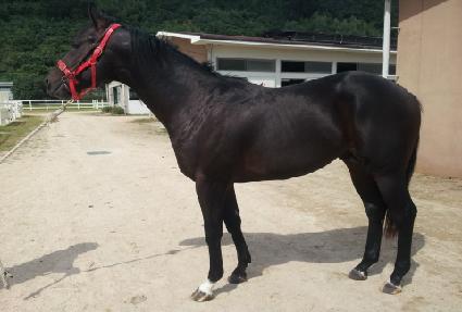 ��ε� ����