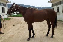 �����Ǻ��� (GANGJAUI BONNEUNG) ����