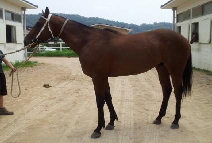 �����Ǻ��� ����