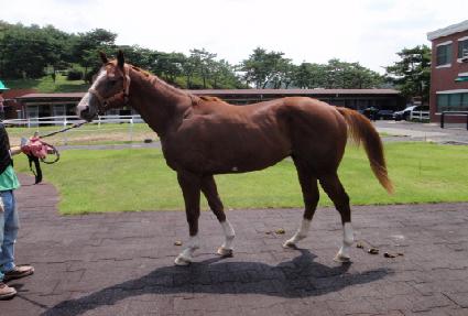 �ƿ��ŷ ����