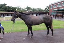 ��ž (BAEK TAP) ����