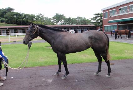 ��ž ����