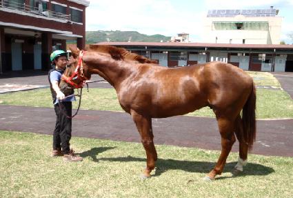 ���ǵ�Ҹ� ����