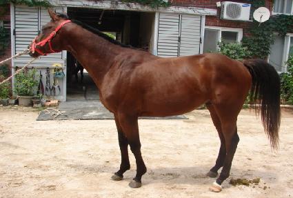 ������ȣ ����