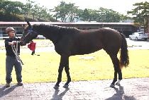 JEONGEUP SARANG picture