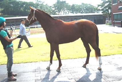 ���Ÿ�� ����