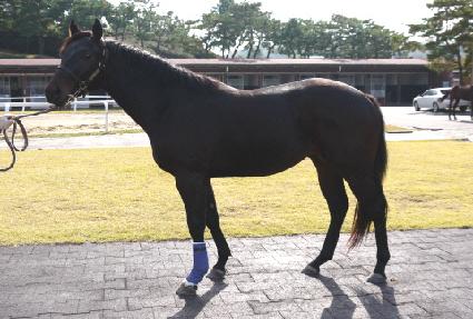 �������� ����