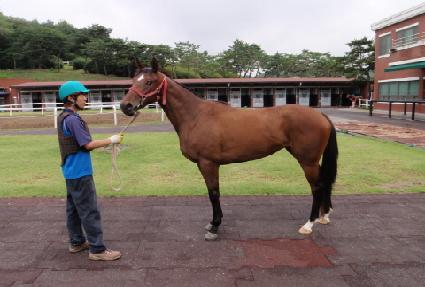 ������� ����