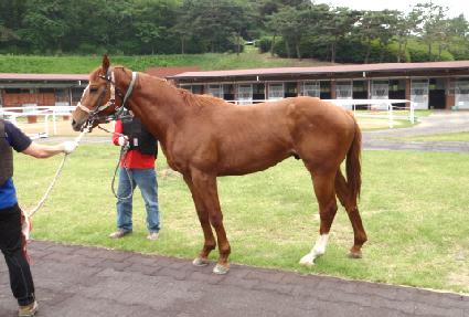 ������ ����