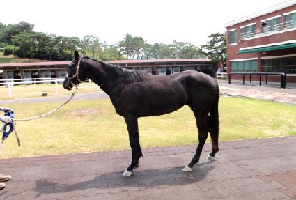 �׸����� ����