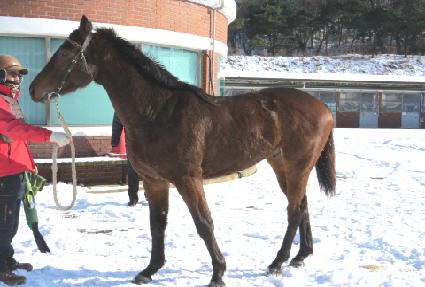 �������� ����