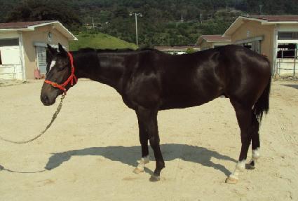 �߾��ְ� ����