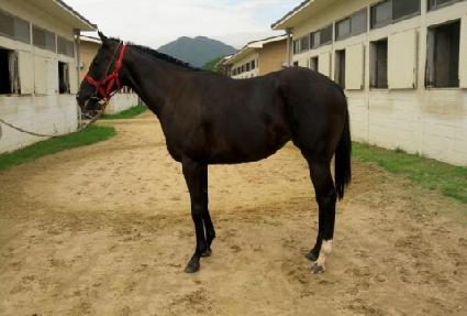 �������� ����