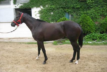 �ռ��� ����