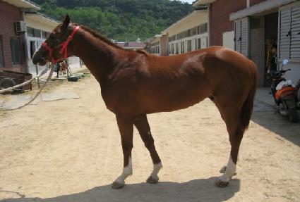 �����ý� ����