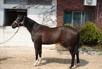 �ݰ���� ����