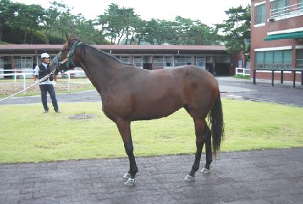 �������� ����