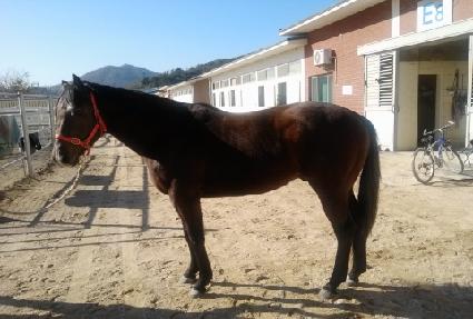 �Ŀ��Ҹ� ����