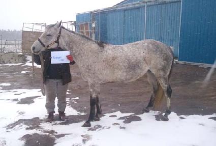 ������̸��� ����