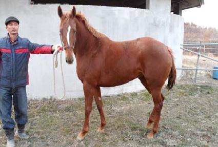 �κ��丮 ����