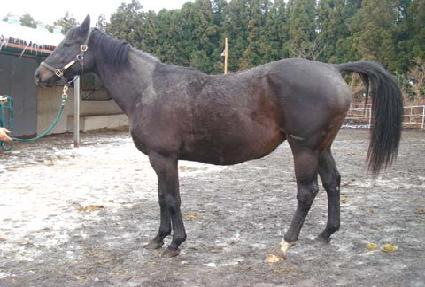 �Ϸ�ú�� ����