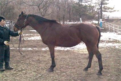 ���ڸյ� ����