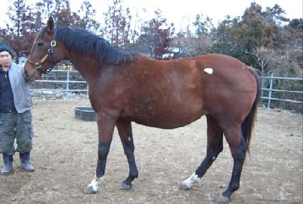 ��Ƽ�ý��ǵ� ����