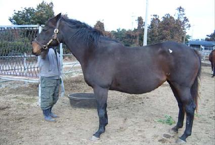 ��Ƽ����� ����