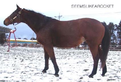 �������ũ���Ŷ ����